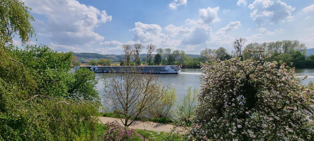 Moselglueck Apartment Schweich Luaran gambar